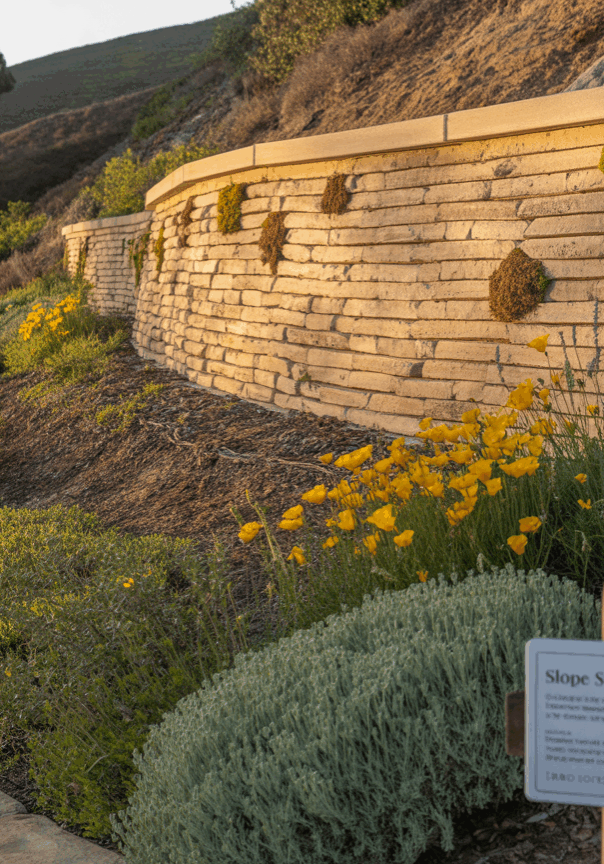 Tiered slope with stone retaining walls, native plants, and a sign labeled “Slope Stabilization” in a landscaped hillside area.